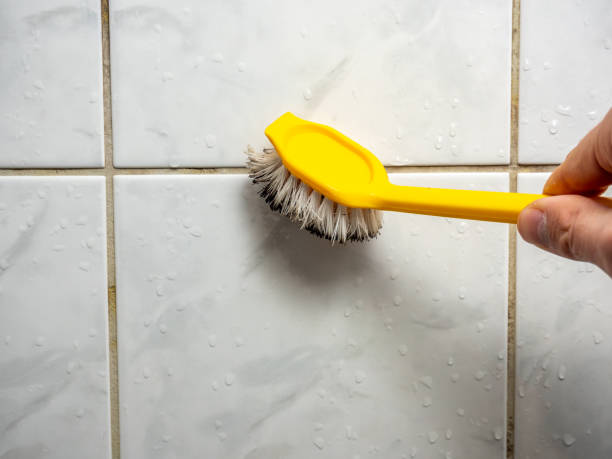 Mold Removal and Inspection in Rockland, ME