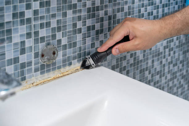 Best Certified Mold Removal  in Rockland, ME